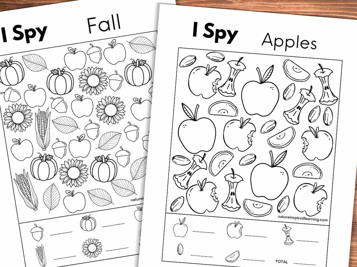 fall printable worksheets