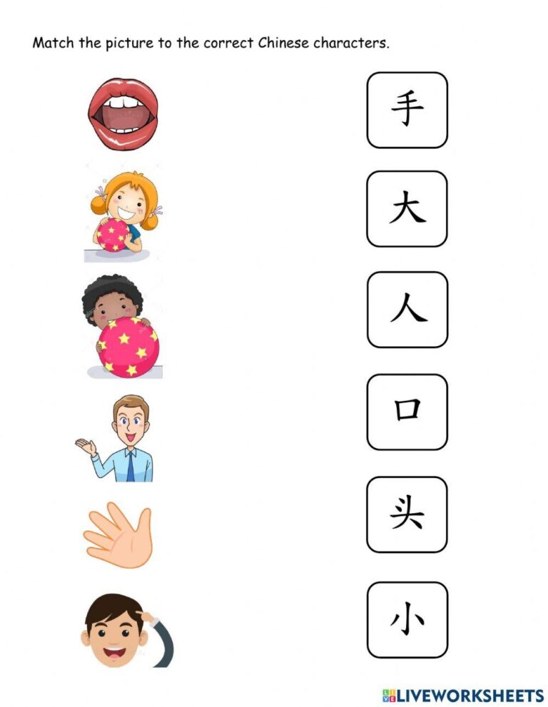 Chinese Characters Activity Live Worksheets Worksheets Library