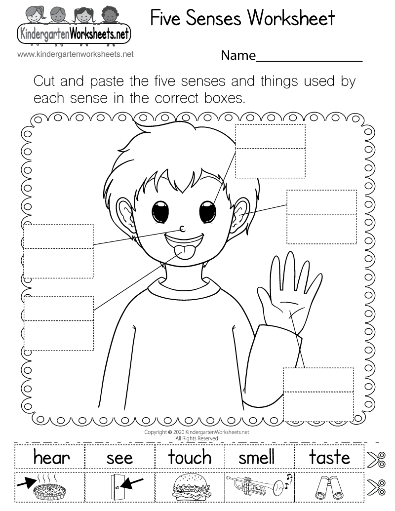 free printable science worksheets for kindergarten
