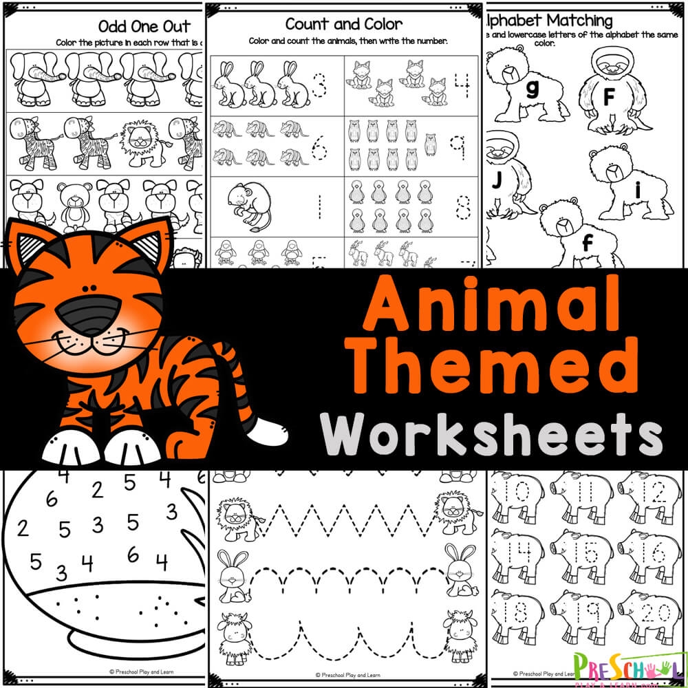 free printable worksheets for prek