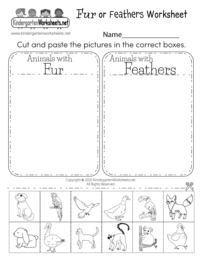 free printable kindergarten science worksheets