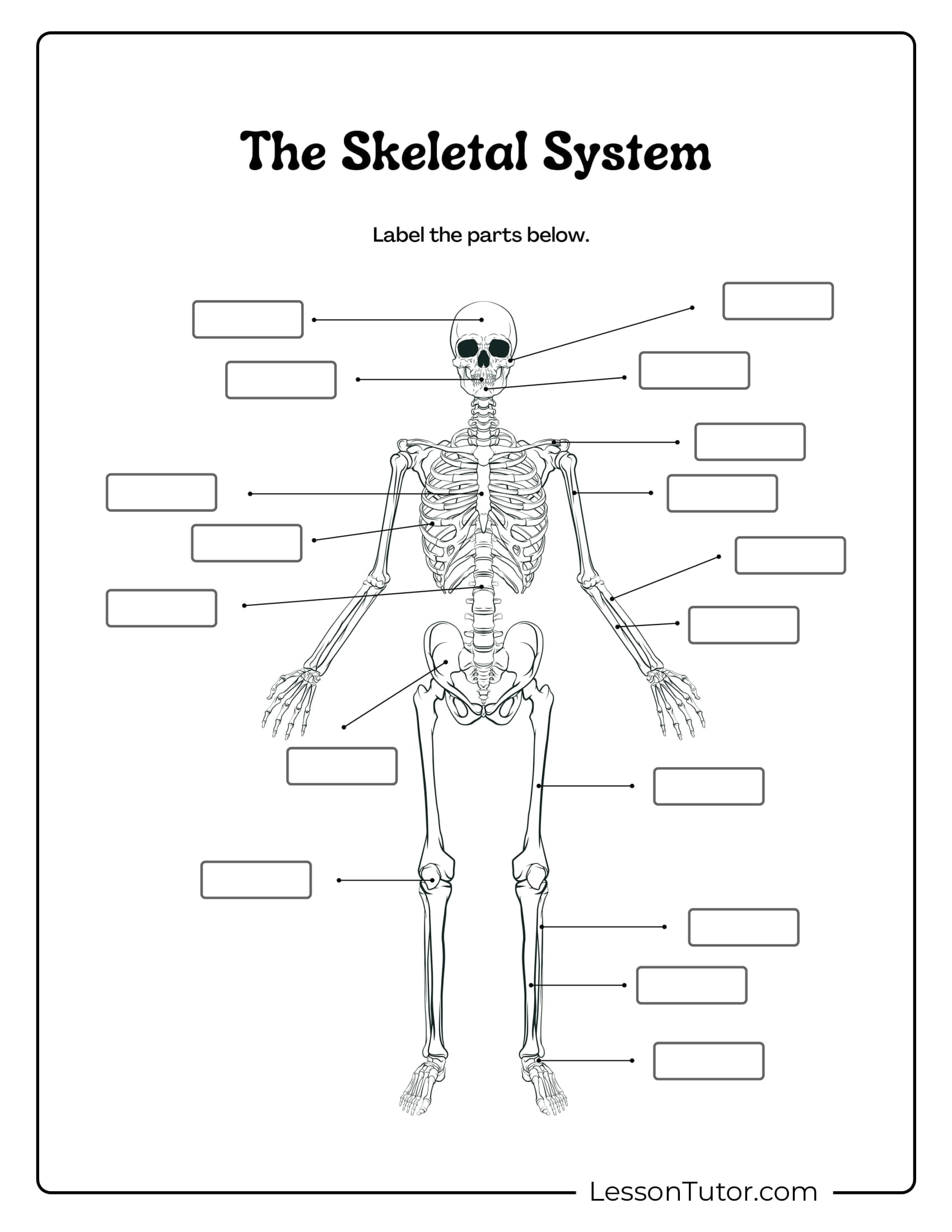 Skeleton Worksheets Free Coloring Pages PDF Printables And Worksheets Lesson Tutor
