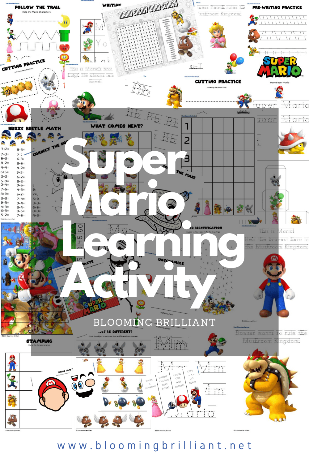 Super Mario Learning Activity Pack Blooming Brilliant