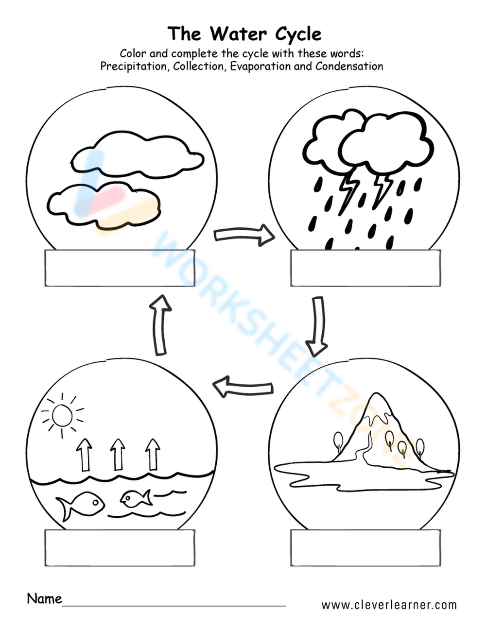 Water Cycle Worksheets